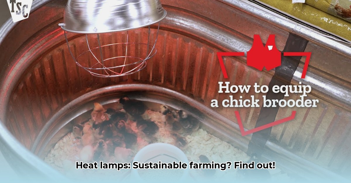 heat-lamps-tractor-supply